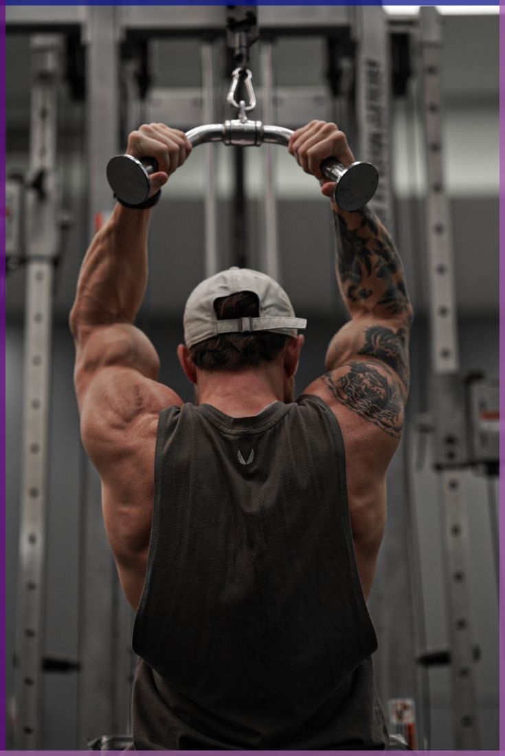 The Complete Guide to Fitness, Fat Loss, Strength, Endurance, and Healthy Lifestyle at Home